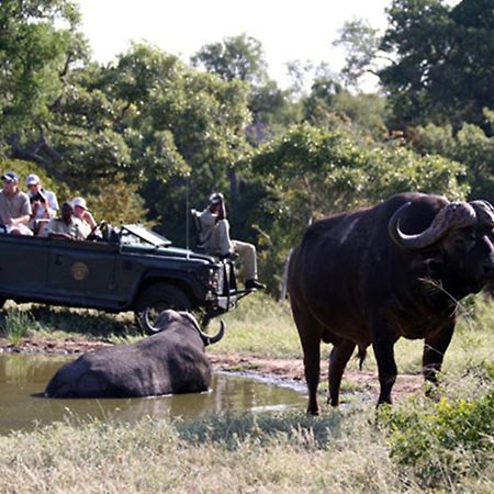 Umlani Bushcamp Villa Timbavati viltreservat Exteriör bild