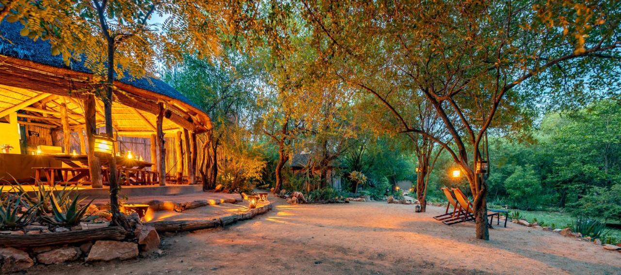 Umlani Bushcamp Villa Timbavati viltreservat Exteriör bild
