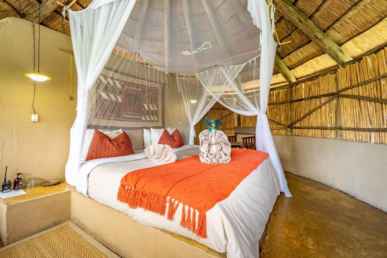 Umlani Bushcamp Villa Timbavati viltreservat Exteriör bild