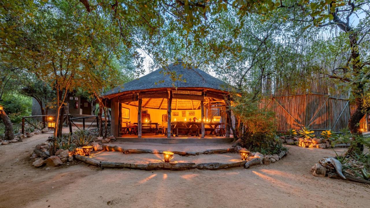 Umlani Bushcamp Villa Timbavati viltreservat Exteriör bild