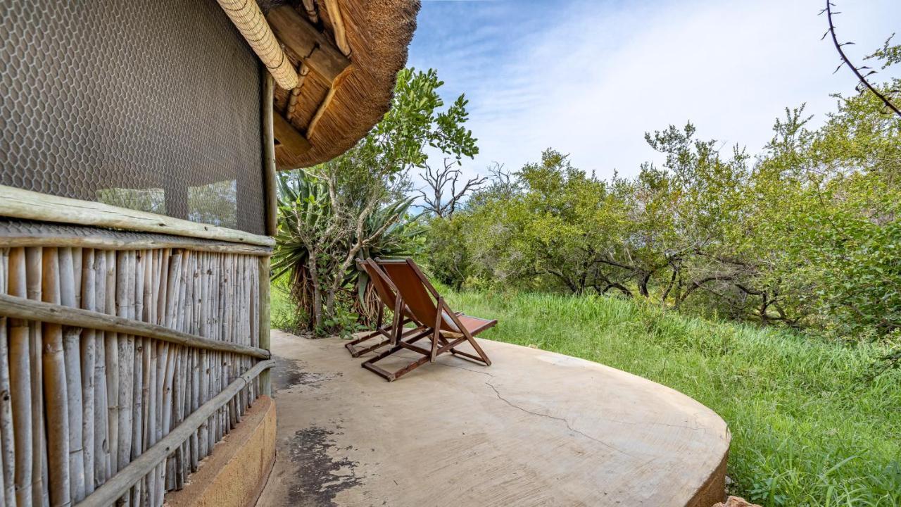 Umlani Bushcamp Villa Timbavati viltreservat Exteriör bild