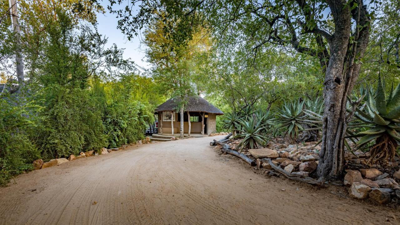 Umlani Bushcamp Villa Timbavati viltreservat Exteriör bild