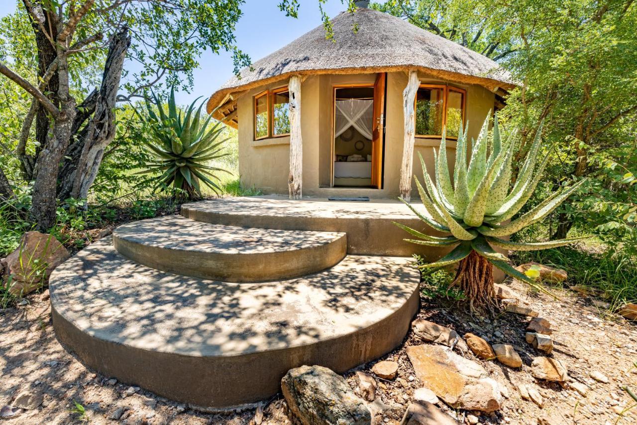 Umlani Bushcamp Villa Timbavati viltreservat Exteriör bild