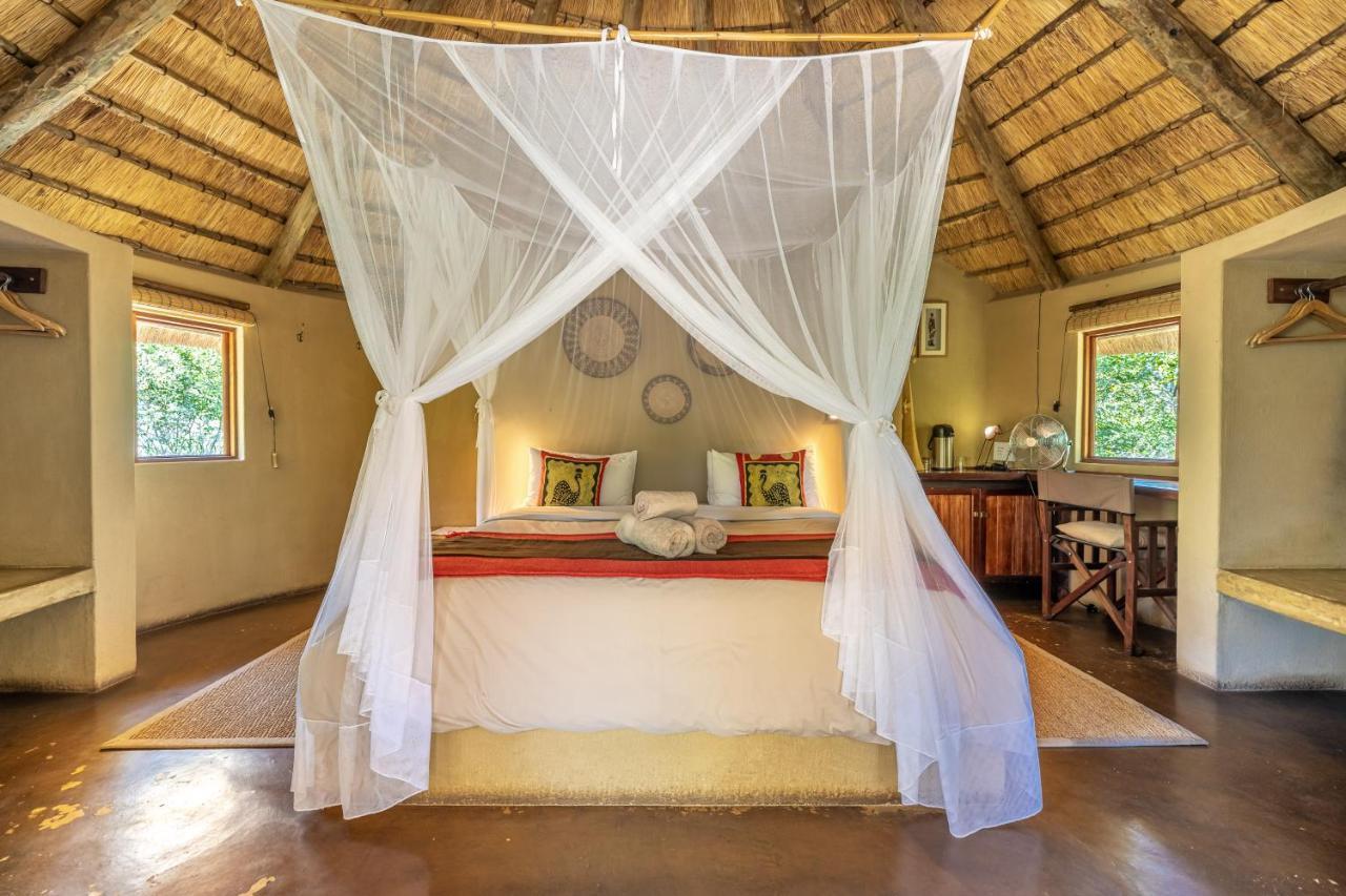 Umlani Bushcamp Villa Timbavati viltreservat Exteriör bild