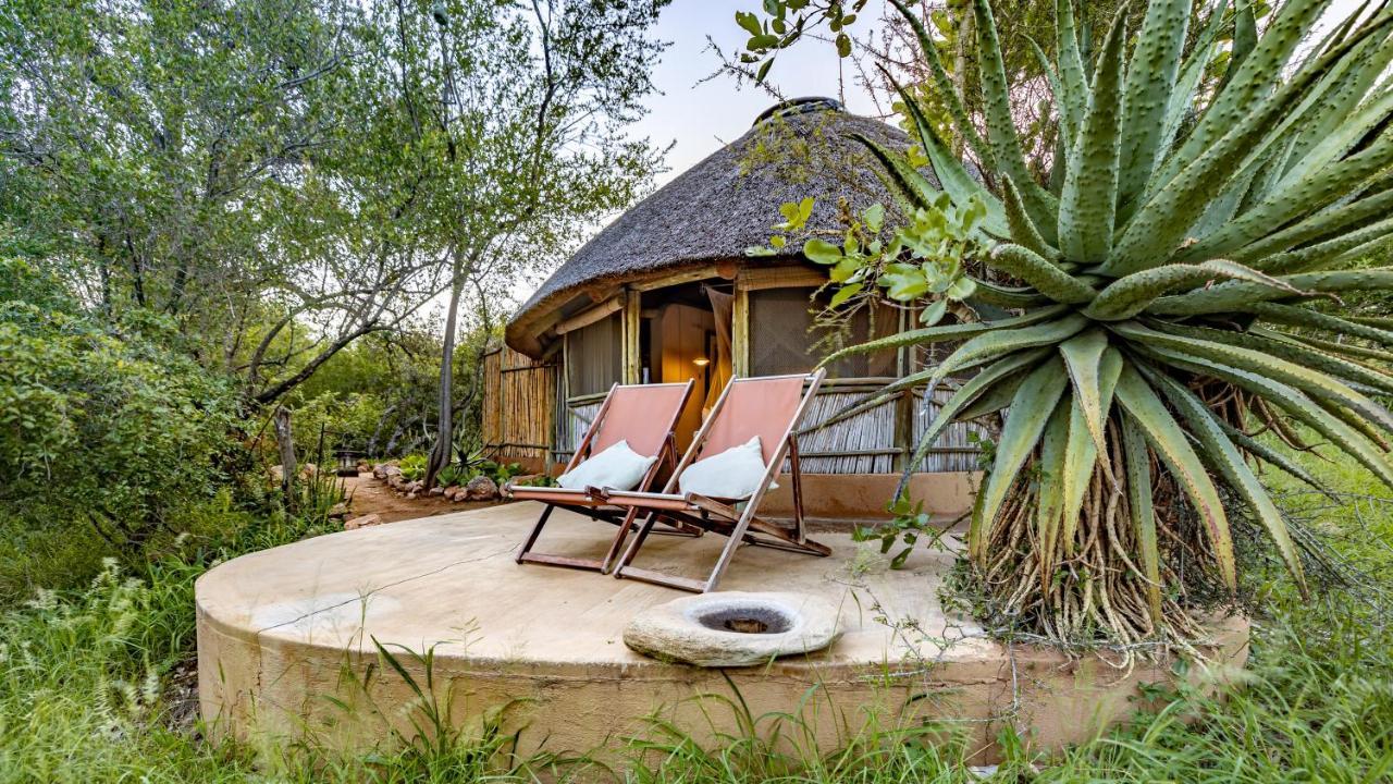 Umlani Bushcamp Villa Timbavati viltreservat Exteriör bild