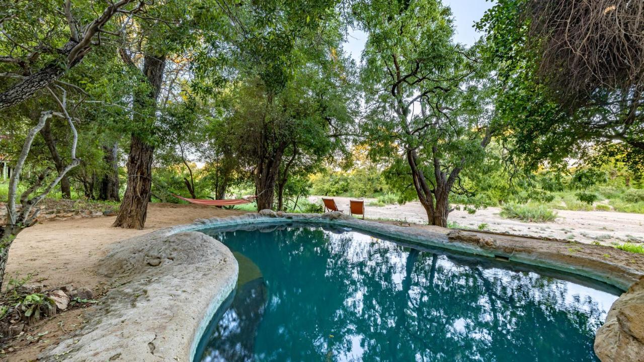 Umlani Bushcamp Villa Timbavati viltreservat Exteriör bild
