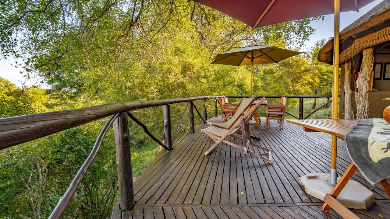 Umlani Bushcamp Villa Timbavati viltreservat Exteriör bild