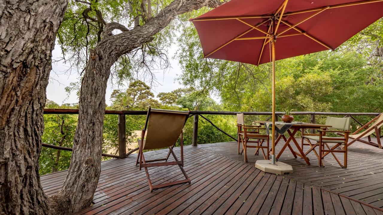 Umlani Bushcamp Villa Timbavati viltreservat Exteriör bild