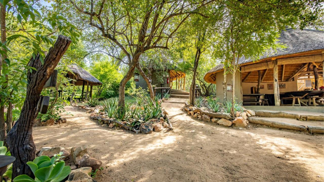 Umlani Bushcamp Villa Timbavati viltreservat Exteriör bild