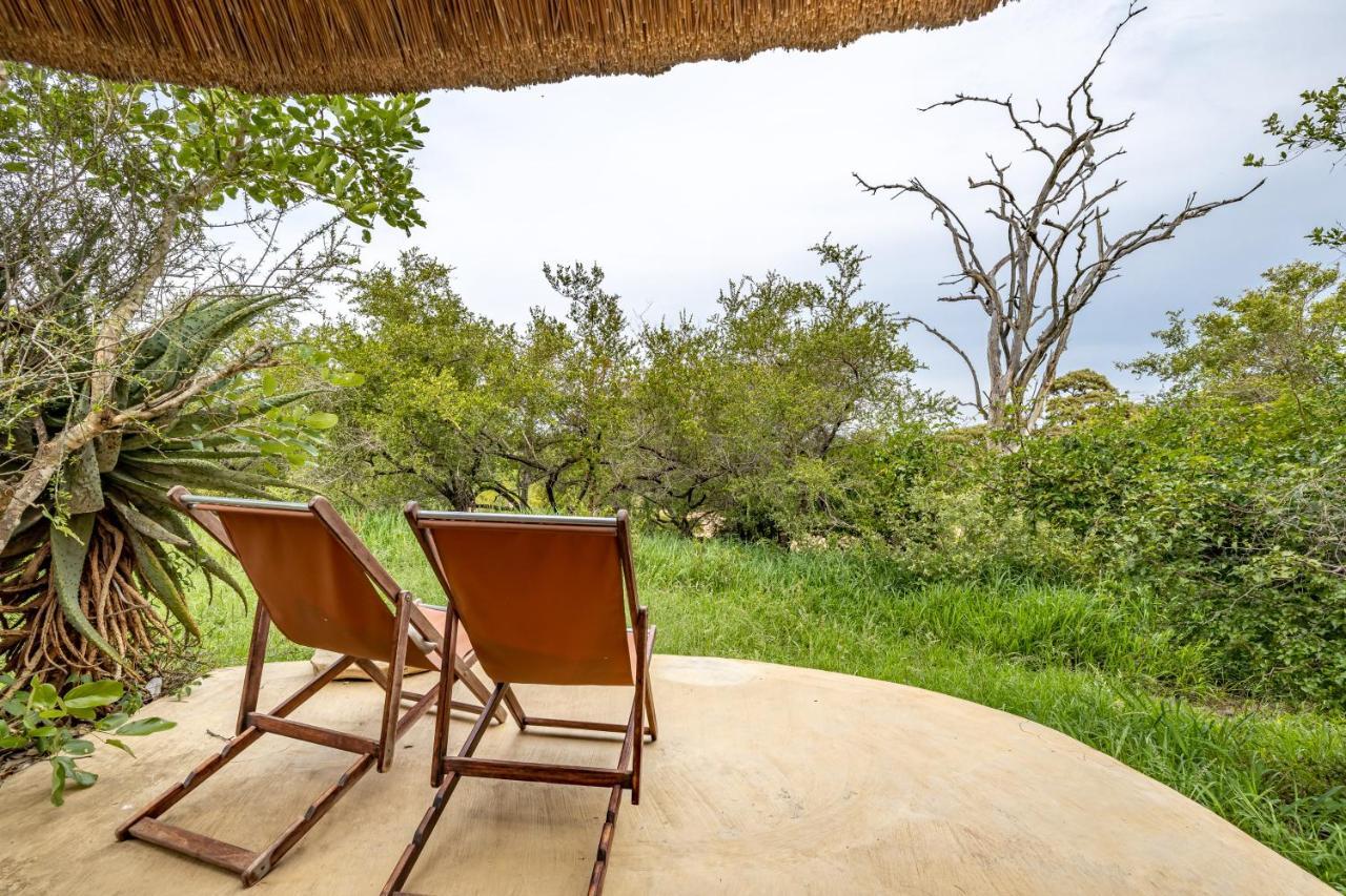 Umlani Bushcamp Villa Timbavati viltreservat Exteriör bild