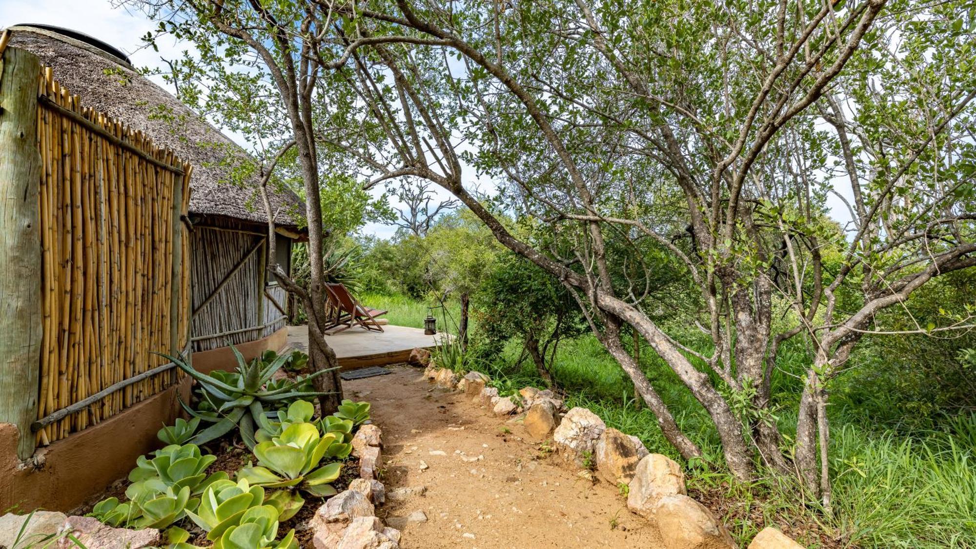 Umlani Bushcamp Villa Timbavati viltreservat Exteriör bild