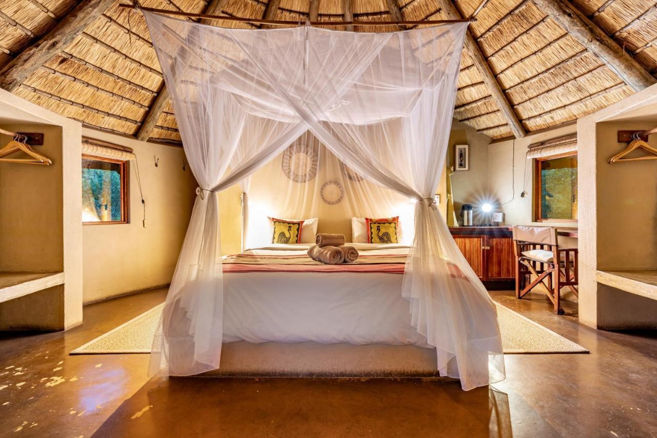 Umlani Bushcamp Villa Timbavati viltreservat Exteriör bild