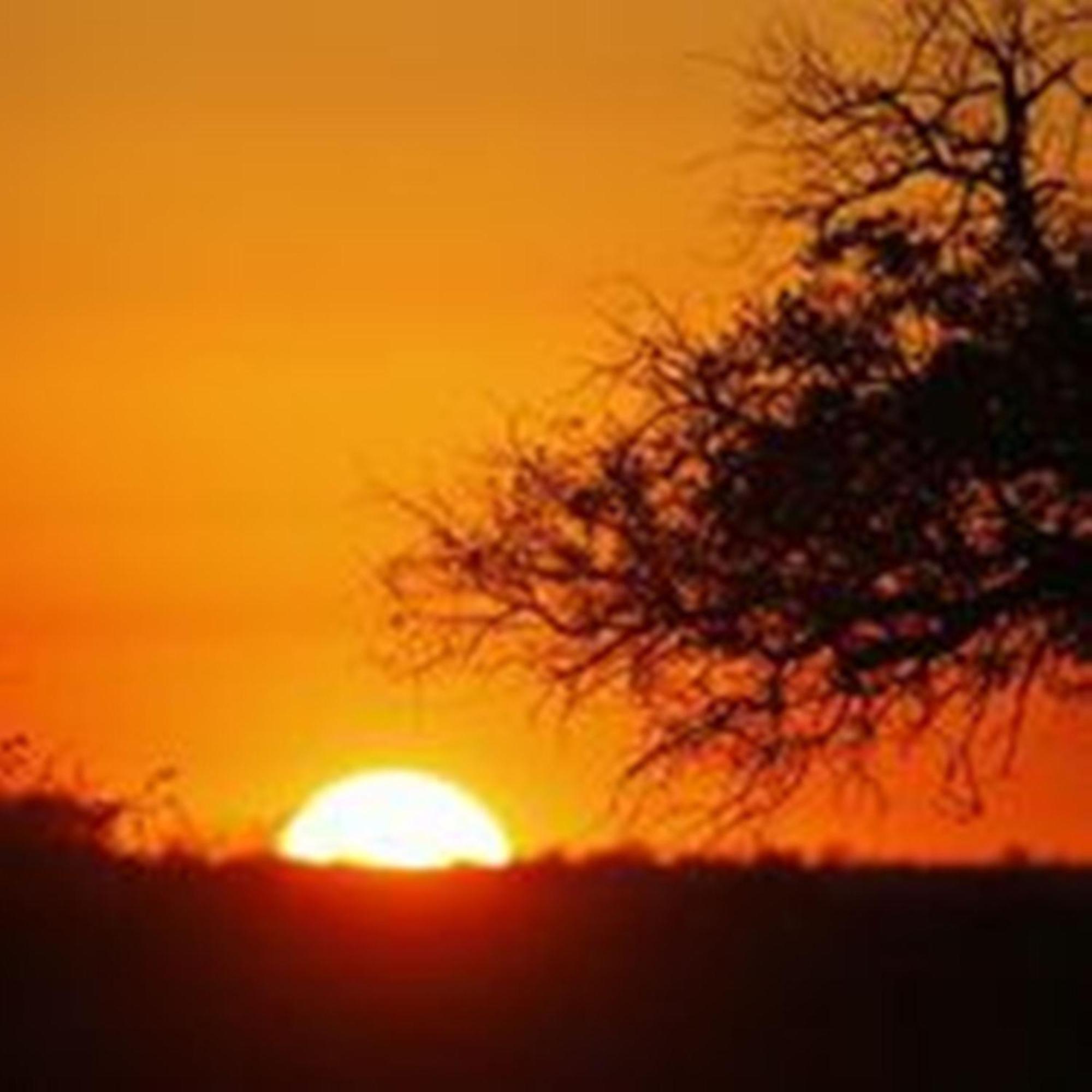 Umlani Bushcamp Villa Timbavati viltreservat Exteriör bild