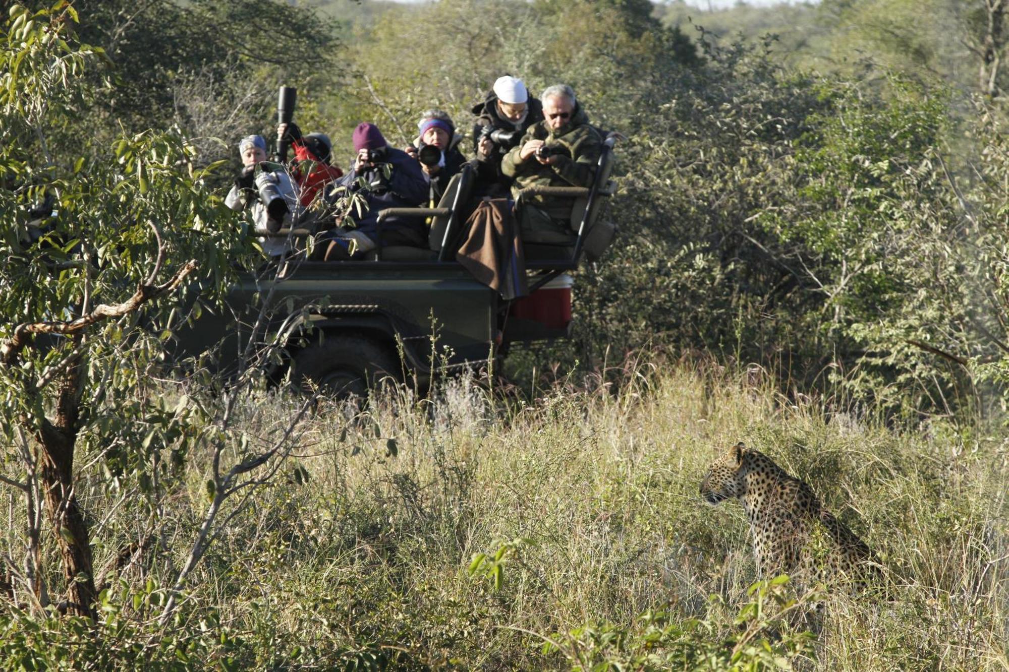 Umlani Bushcamp Villa Timbavati viltreservat Exteriör bild