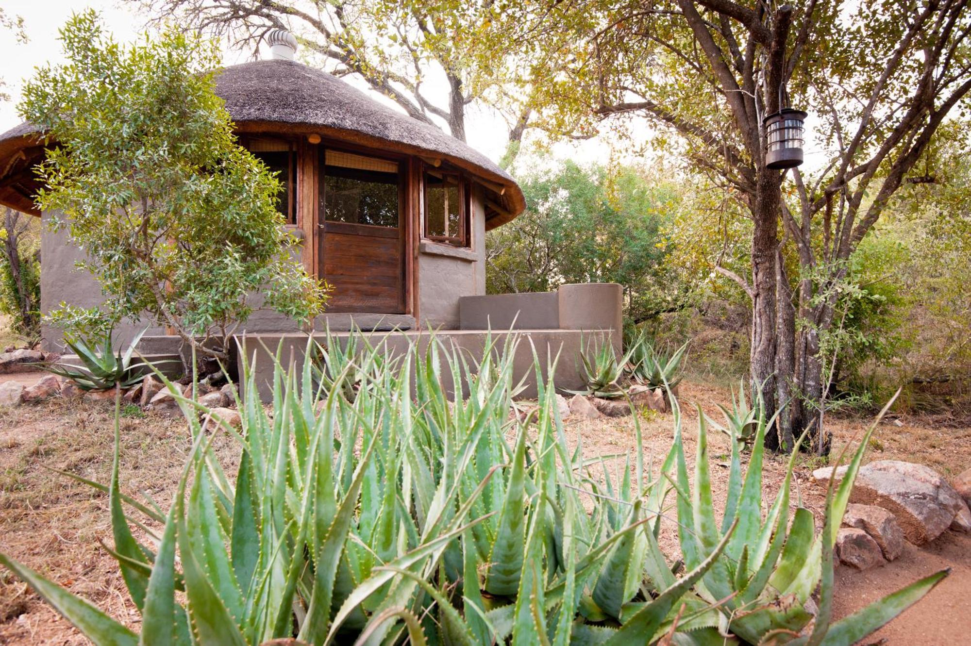 Umlani Bushcamp Villa Timbavati viltreservat Exteriör bild