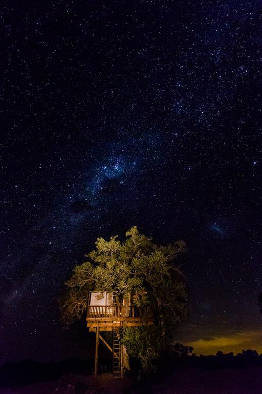 Umlani Bushcamp Villa Timbavati viltreservat Exteriör bild