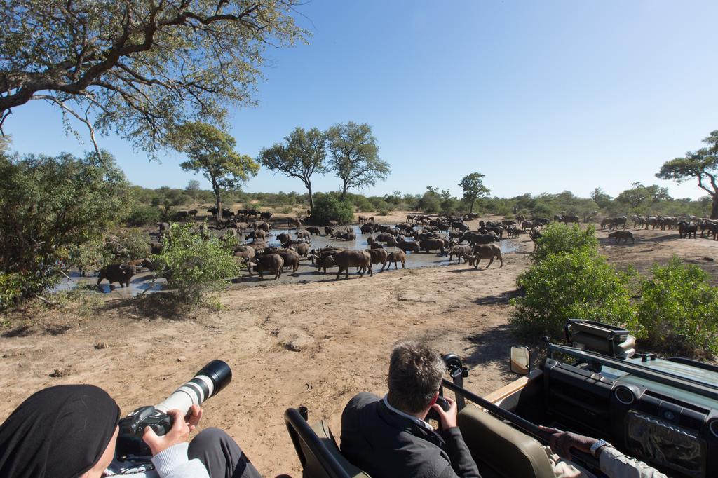 Umlani Bushcamp Villa Timbavati viltreservat Exteriör bild