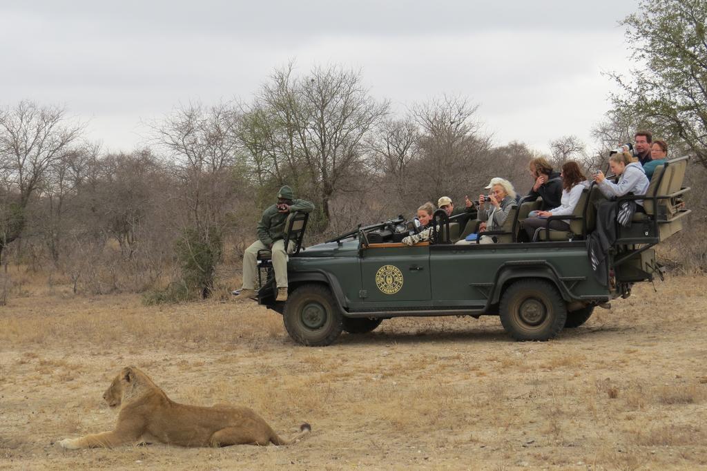 Umlani Bushcamp Villa Timbavati viltreservat Exteriör bild