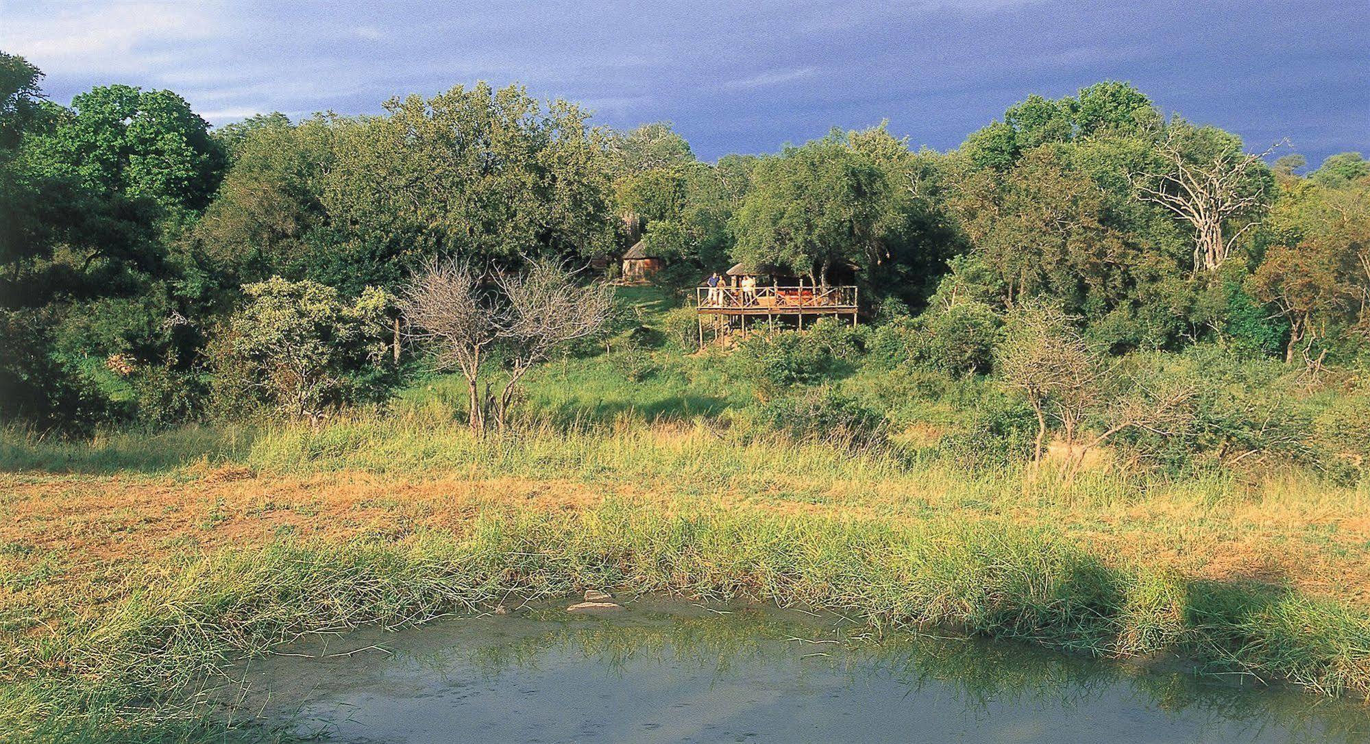 Umlani Bushcamp Villa Timbavati viltreservat Exteriör bild